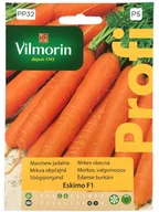 Nasiona i cebule - Vilmorin Marchew ESKIMO - miniaturka - grafika 1