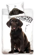 Pościel dla dzieci - ﻿Pościel 160x200 labrador pies szczeniak brązowy czekoladowy golden bawełna - miniaturka - grafika 1