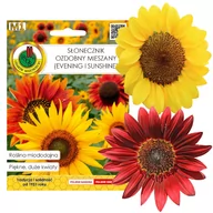 Nasiona i cebule - Nasiona słonecznik ozdobny mieszanka 1 5 g - miniaturka - grafika 1