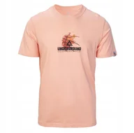 Koszulki męskie - MĘSKA KOSZULKA F6222091 PEAK M - miniaturka - grafika 1