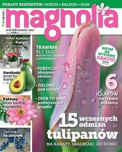 Magnolia 3/2017 - Audiobooki - poradniki - miniaturka - grafika 1