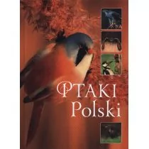 SBM Karolina Matoga Ptaki Polski - Albumy - przyroda - miniaturka - grafika 1