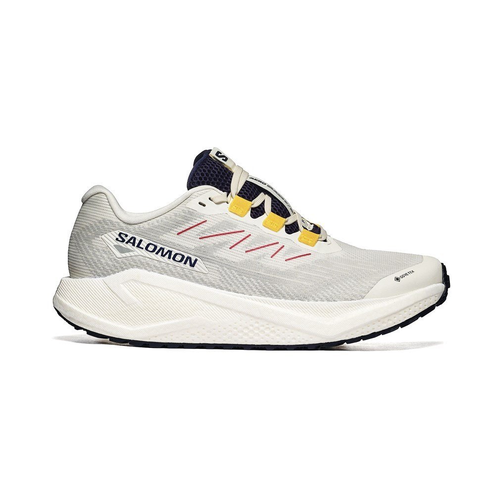 Aero Blaze 3 Grvl GTX
