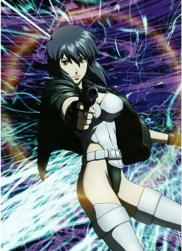 Plakat Ghost in the Shell gits_020 A2 (custom)