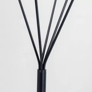 Lampa stojąca Talea, 5-punktowa, 156 cm, czarna - Lampy stojące - miniaturka - grafika 2