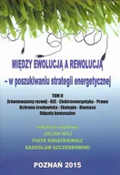 Technika - Między ewolucją a rewolucją - w poszukiwaniu strategii energetycznej Tom 2 - Fundacja na rzecz Czystej Energii - miniaturka - grafika 1