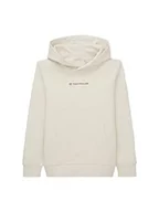 Bluzy dla chłopców - Chłopięca bluza z kapturem TOM TAILOR z napisem, 32257-Szarawo-biała, 128 - miniaturka - grafika 1