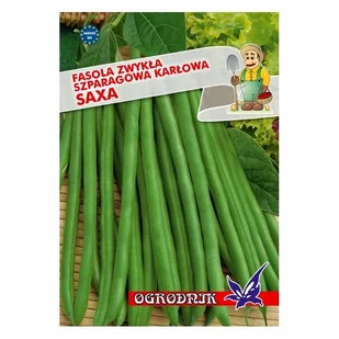 Fasola zielona karłowa Saxa 40g / O / - Nasiona i cebule - miniaturka - grafika 1