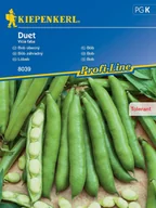 Nasiona i cebule - Bób biały Duet nasiona Kiepenkerl - miniaturka - grafika 1