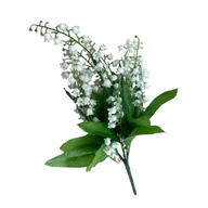 Sztuczne kwiaty - Bukiet konwalii 35 x 10 cm - miniaturka - grafika 1