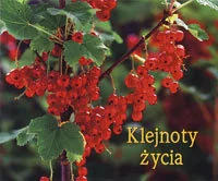 Klejnoty życia - Aforyzmy i sentencje - miniaturka - grafika 1