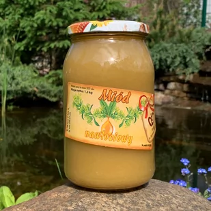 PASIEKA Ks. Eugeniusza Marciniaka Miód nawłociowy 1,3 kg (ks. E. Marciniak) TT001053 - Miód - miniaturka - grafika 1