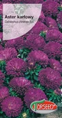 Nasiona i cebule - Nasiona Aster karłowy ciemnoniebieski 0,5g - Torseed - miniaturka - grafika 1