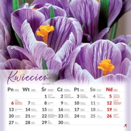Kalendarze - Kalendarz ścienny Kwiaty 2026 podgląd na 3 miesiące 33x33cm - miniaturka - grafika 1