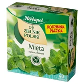 Herbata - Zielnik Polski Mięta 40Tb X 2G - miniaturka - grafika 1