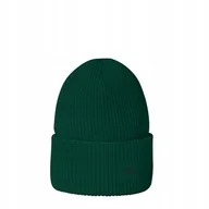 Czapki damskie - THE NORTH FACE CZAPKA URBAN PATCH BEANIE NF0A7WJGNL1 r UNIWERSALNY - miniaturka - grafika 1