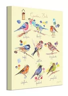 Obrazy i zdjęcia na płótnie - Garden Birds - obraz na płótnie - miniaturka - grafika 1