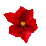 Sztuczne kwiaty - Magnolia Główka Wyrobowa Ozdobna Czerwona - miniaturka - grafika 1