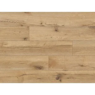 Panel Expedition 4V Patos Oak AC5 8 mm - Panele podłogowe - miniaturka - grafika 1