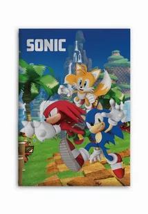 Koc Polarowy Licencyjny 100x140 Sonic 01 - Koce i narzuty dla dzieci - miniaturka - grafika 1