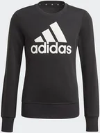 Bluzy dla dziewczynek - Adidas Bluza dziecięca ADIDAS BL SWT 140 - miniaturka - grafika 1