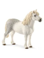 Zabawki kreatywne - Schleich Figurka "Welsh pony stallion" do zabawy - 3+ - miniaturka - grafika 1