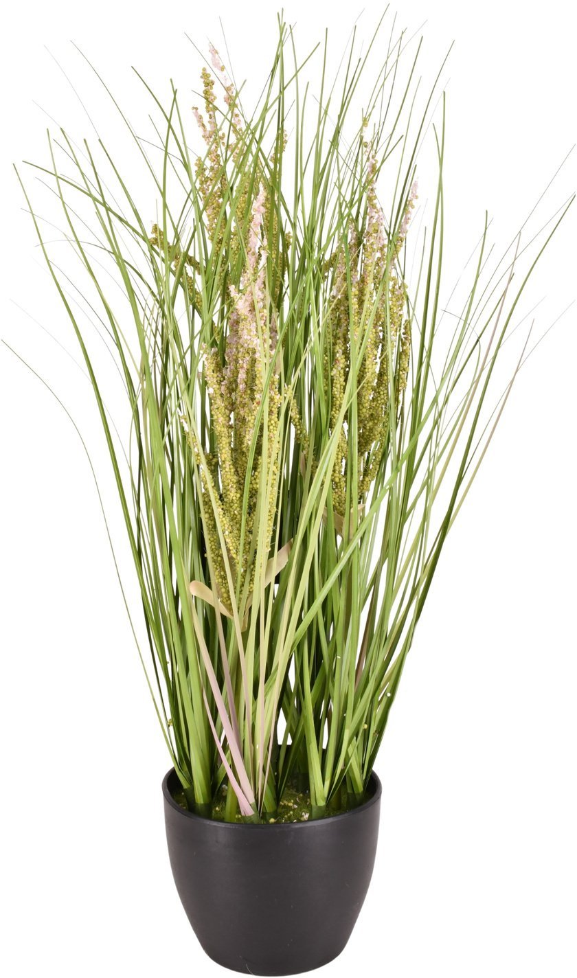 Direct Home and Garden Sztuczna roślina w doniczce Trawa Pampasowa 50cm