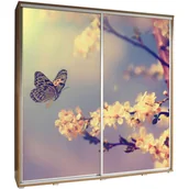 Szafy - Szafa 205 z Grafiką Motyl 2 Penelopa Maridex Kasztan Wenge - miniaturka - grafika 1