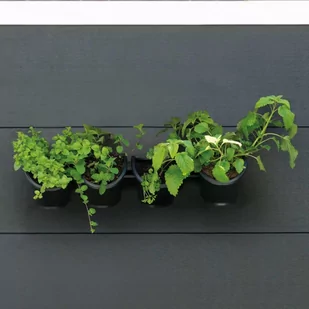 Nature Wertykalny ogród na zioła/kwiaty Outsideliving - Donice - miniaturka - grafika 1