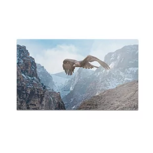 Szklana deska do krojenia HOMEPRINT Orzeł w locie 60x52 cm - Deski do krojenia Szklana deska do krojenia HOMEPRINT Orzeł w locie 60x52 cm - Deski do krojenia - miniaturka - grafika 1