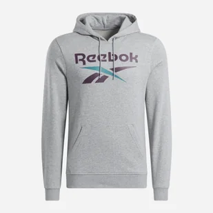 Bluza z kapturem męska ocieplana Reebok Identity Big Logo Fleece Hoodie 100206026 L Szara (1200143879696). Bluzy z kapturem męskie - Bluzy męskie - miniaturka - grafika 1