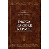 Religia i religioznawstwo - Droga na Górę Karmel - miniaturka - grafika 1