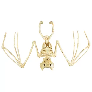 Arpex, Szkielet nietoperza - Halloween - miniaturka - grafika 1