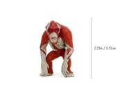 Figurki dla dzieci - JADA FIGURKA SKAR KING GODZILLA x KONG THE NEW EMPIRE 6,5cm 253250001 - miniaturka - grafika 1