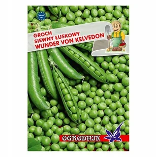 Groch łuskowy Wunder von Kelvedon 40g / O / - Nasiona i cebule - miniaturka - grafika 1