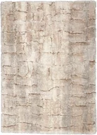 Dywany - Dream Shag 09 Ivory Beige - miniaturka - grafika 1