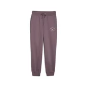 Spodnie damskie - PUMA CLASS COMFORT SWEATPANTS FL CL 68813688 - miniaturka - grafika 1