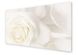 Panel kuchenny HOMEPRINT Zbliżenie na białą różę 120x60 cm - Dekoracje domu - miniaturka - grafika 1