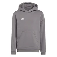 Bluzy dla chłopców - Dziecięca Bluza ADIDAS ENT22 HOODY Y H57515 – Szary - miniaturka - grafika 1