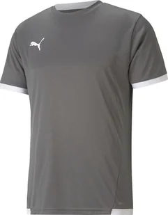 Koszulka męska Puma teamLIGA Jersey szara 704917 13 S - Koszulki męskie - miniaturka - grafika 1