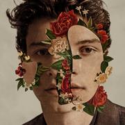 Reggae - Shawn Mendes CD) Shawn Mendes - miniaturka - grafika 1