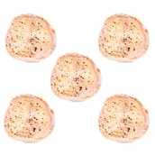 Pieczywo chrupkie - Spód do pizzy 5 x 250g - Schronisko Bukowina - miniaturka - grafika 1