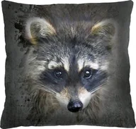 Kołdry i poduszki dla dzieci - Bertoni-arco Poduszka - RACOON - 40x40 cm - miniaturka - grafika 1