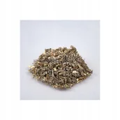 Herbata - Bylica piołun Artemisia absinthium ANTYWIRUS 50 g - miniaturka - grafika 1