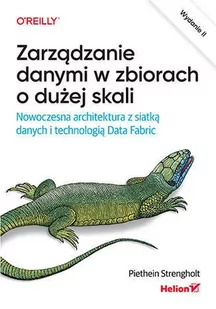 Zarządzanie danymi w zbiorach o dużej skali. Nowoczesna architektura z siatką danych i technologią D - Podstawy obsługi komputera - miniaturka - grafika 1