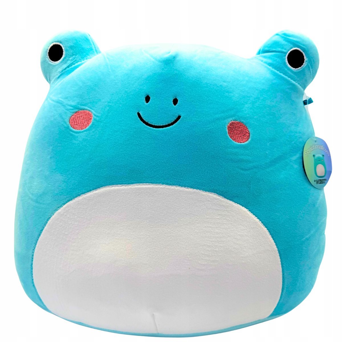 Maskotka Żaba Pluszowa Żabka Przytulanka Mięciutka Dla Dzieci Duża 19 cm