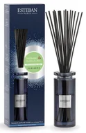 Aromaterapia - Pałeczki Zapachowe - Esteban Paris - Elessens - White Tea & Ylang Ylang - 75ml - miniaturka - grafika 1