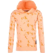 Bluzy dla dziewczynek - Calvin Klein Jeans Bluza | Regular Fit - miniaturka - grafika 1