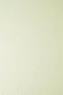 Dekoratorstwo - Papier Elfenbens 246g Skóra ecru - 20A4 - miniaturka - grafika 1