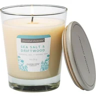 Świece - Świeca zapachowa - Sea Salt & Driftwood (255g) - miniaturka - grafika 1
